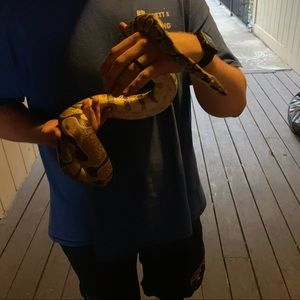 Meet your Posher, Brandon